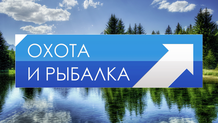 Охота и рыбалка