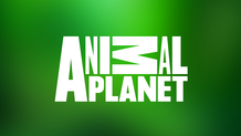 Animal Planet
