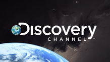 Discovery