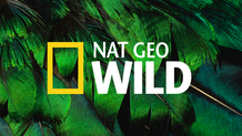 National Geographic Wild
